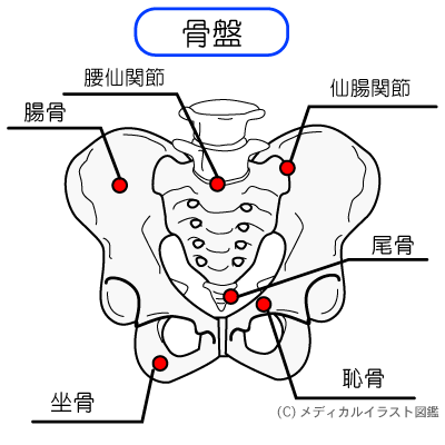 妊婦腰痛